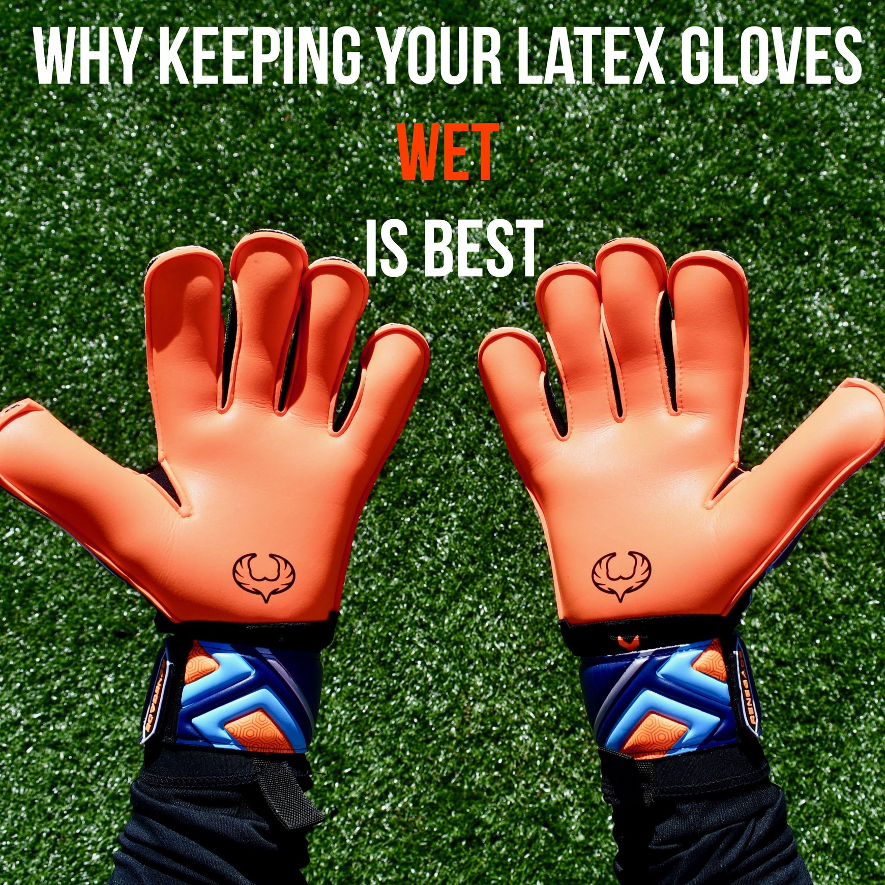 Why keeping your latex gloves wet is best.